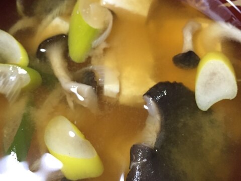 ひらたけ 豆腐 長ねぎ お味噌汁 レシピ 作り方 By 栗しぼり 楽天レシピ ひらたけ 豆腐 長ねぎ お味噌汁 レシピ 作り方 By 栗しぼり 楽天レシピ